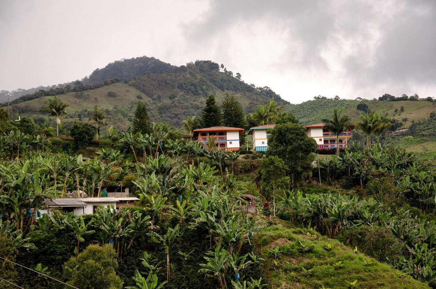 Fincas entre las montañas de Antioquia