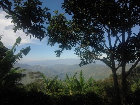 Vista de las montañas de Antioquia desde la finca